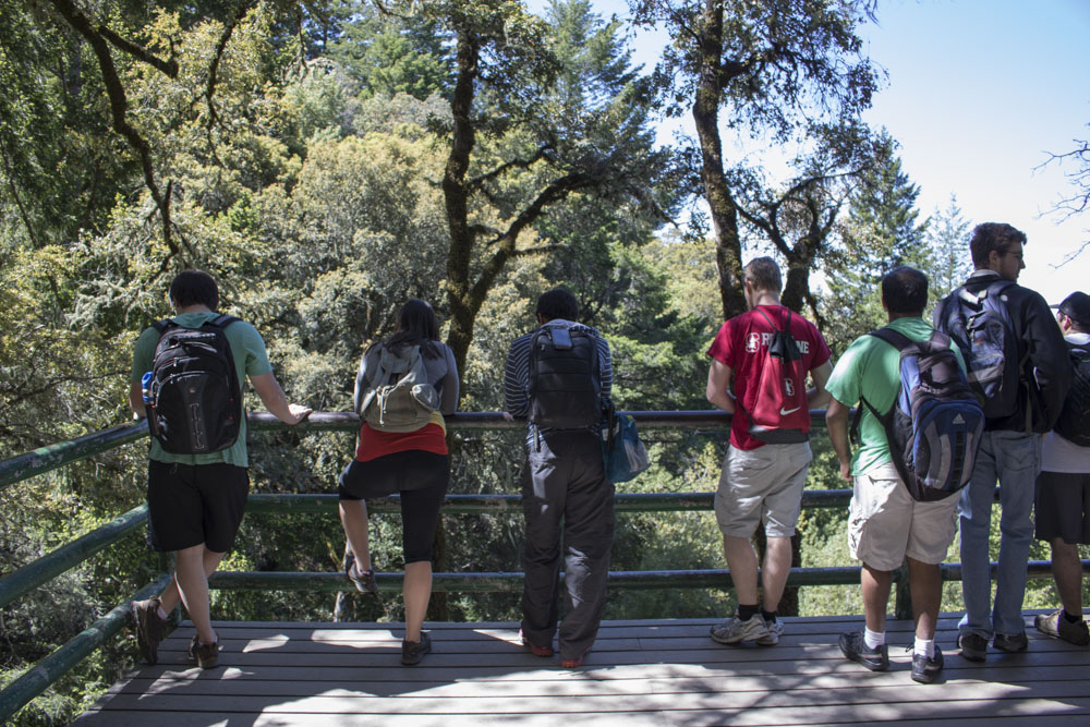 Picture of 160430 Castle Rock Hike